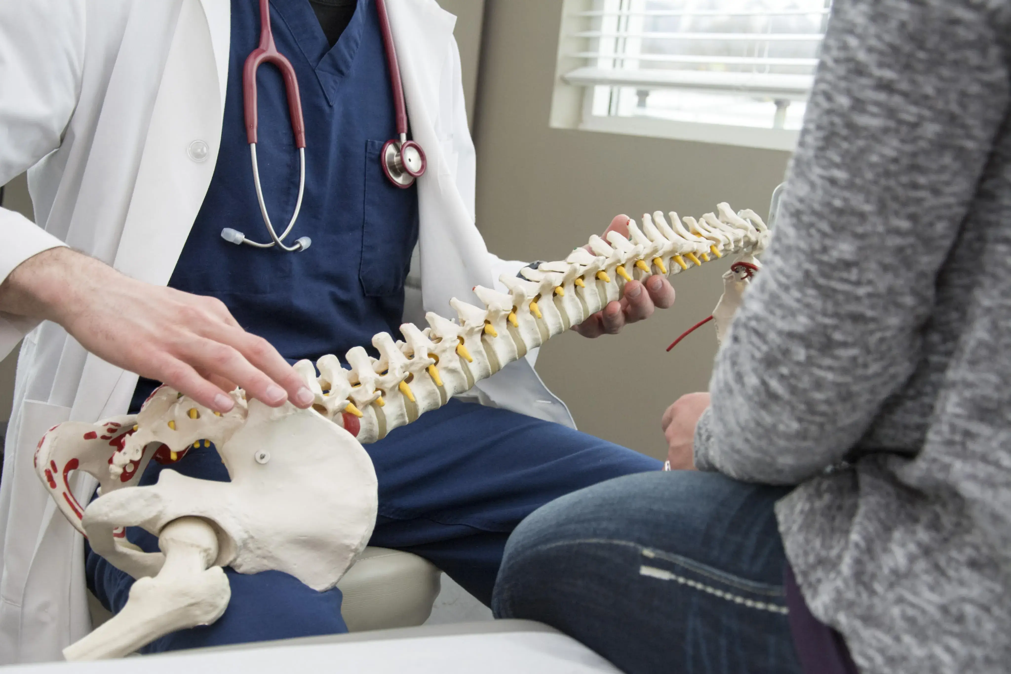 Image of a doctor explaining spine anatomy to a patient